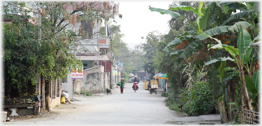 Our Road looking towards the market end.