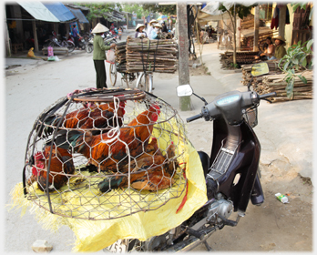 Cage of chicken on the saddle of a motorbike.