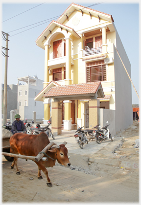 Modern house with ox cart passing.