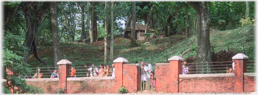 People looking through railings with woods behind.