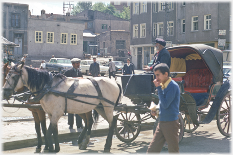 Horse taxi in Erzurum