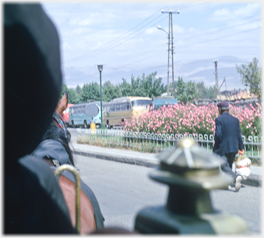 From inside a horse drawn taxi