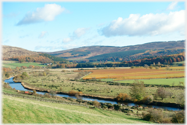 The Tweed near Dawyck.