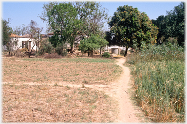 Path by village houses.
