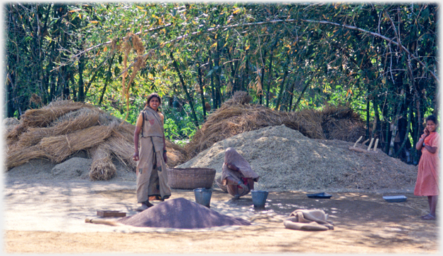 Woman and girl sifting grain.