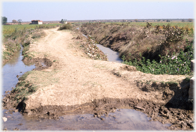 The main road/mud track into the village.