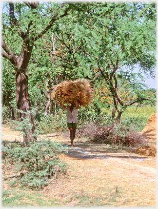 Man carrying straw.