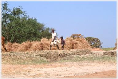 Man and boy marching to fields.