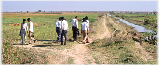 Team in fields.