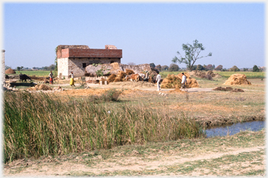 Two paramedics by barns.