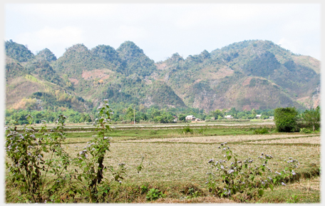 Flat fields with line of karsts behind.