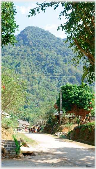 Road running down to houses, tree covered hill in the background.