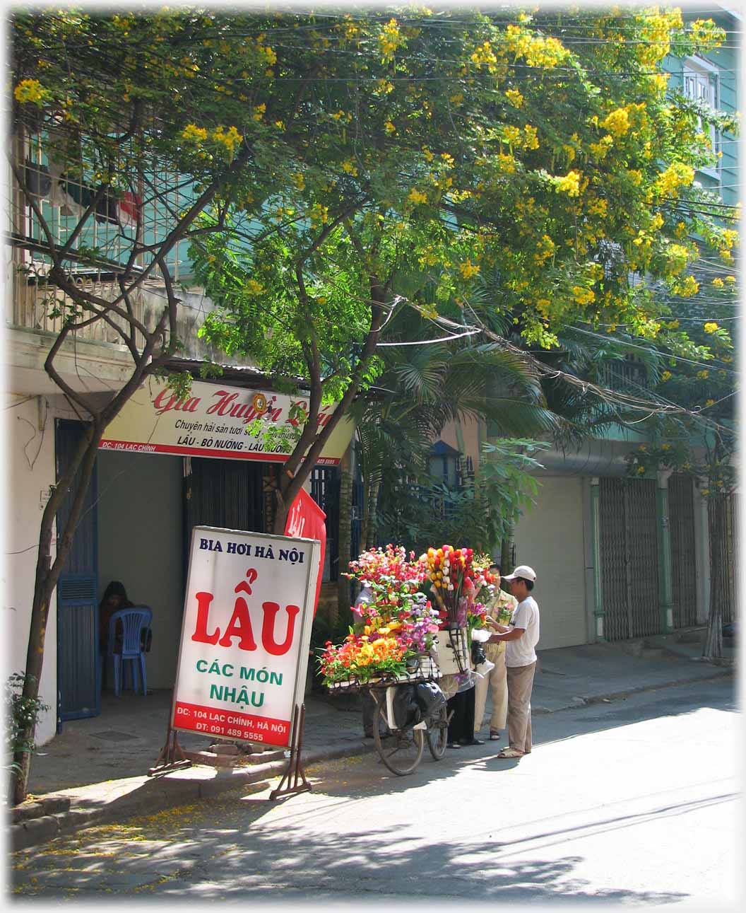 Flower seller with bicycle under flowering tree.