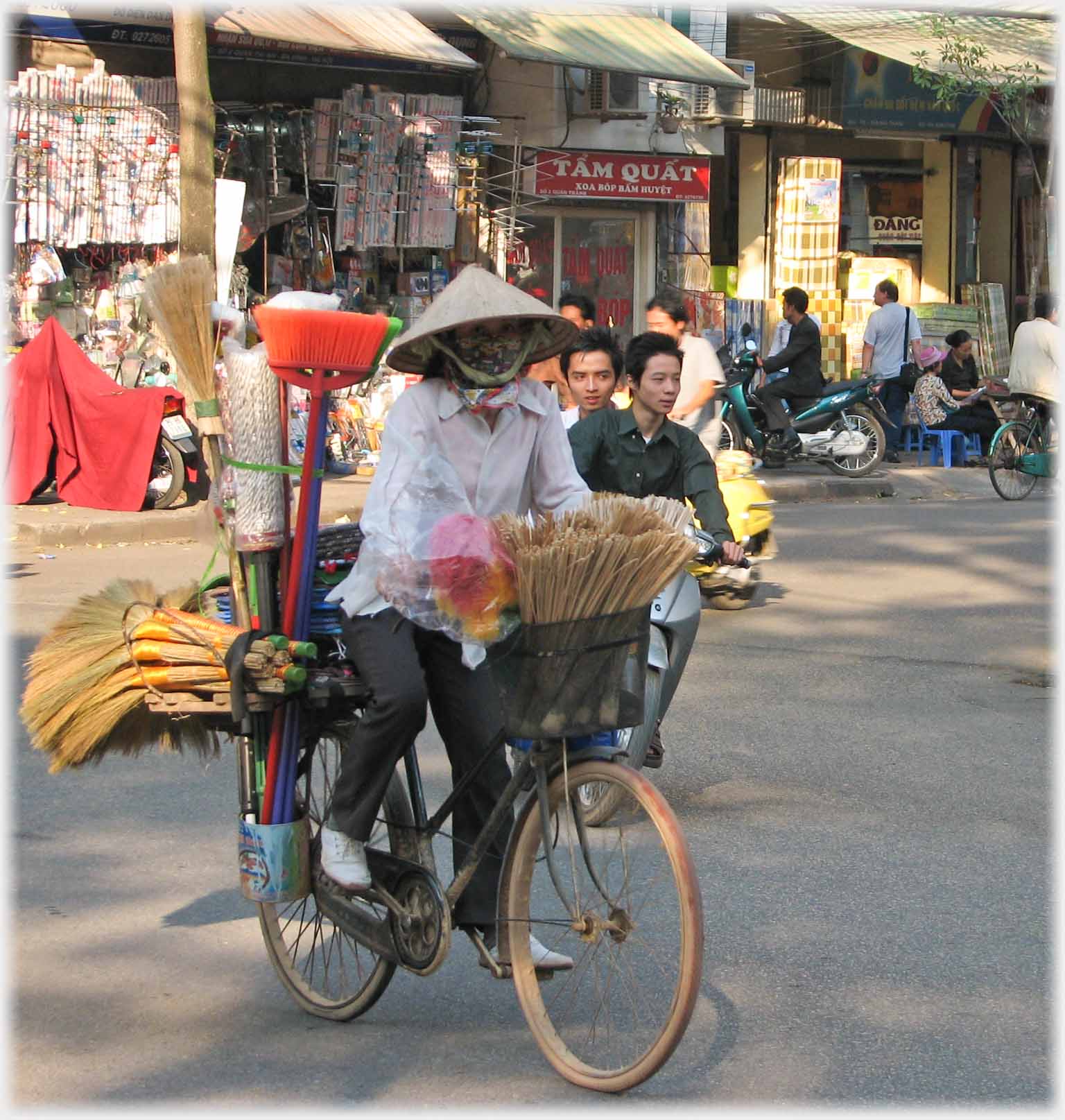 Woman cycling bike with brushes of various types on board.
