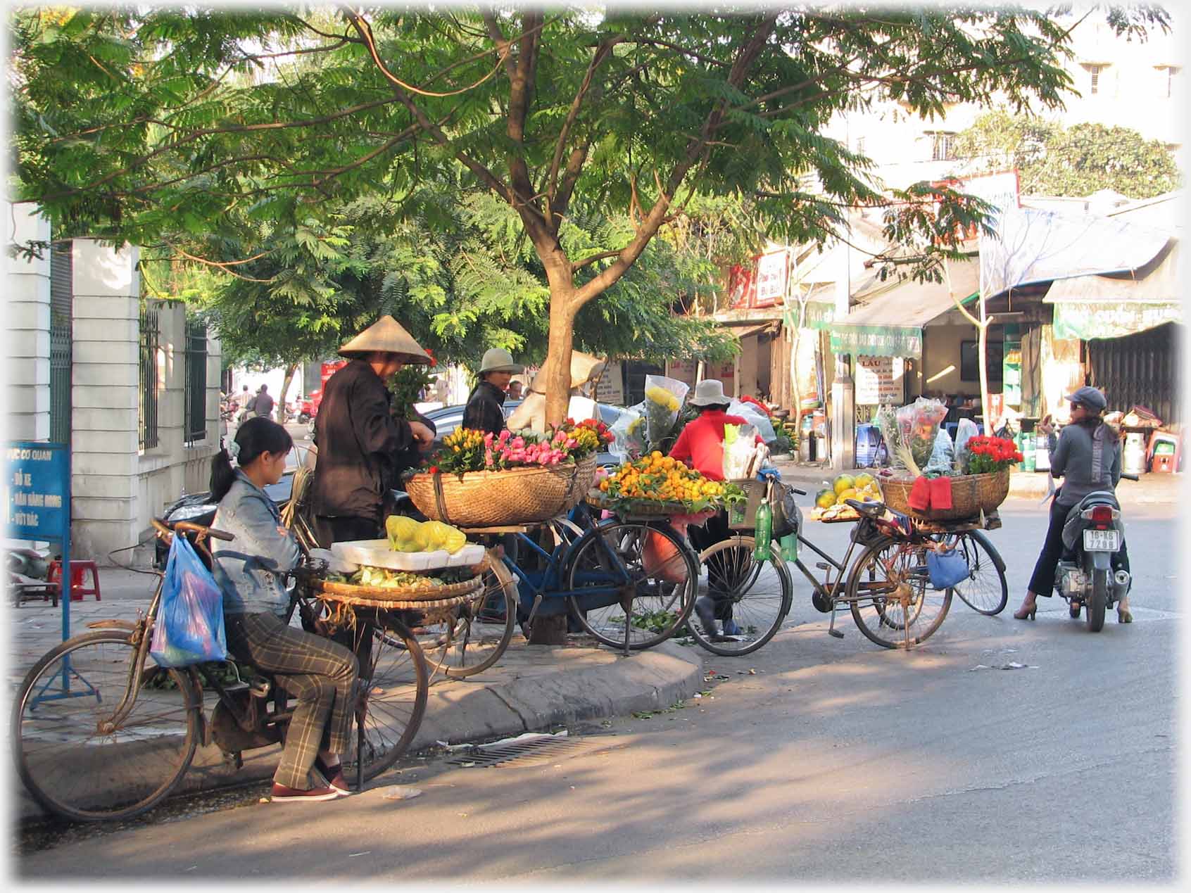 Number of vendors with bicycles gathered at shady corner.
