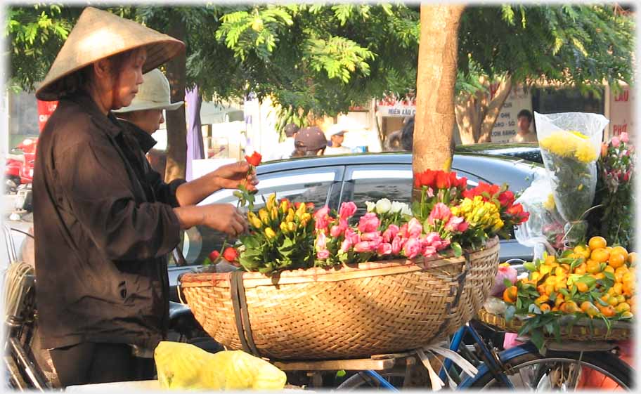 Woman sorting flowers in basket on bike.