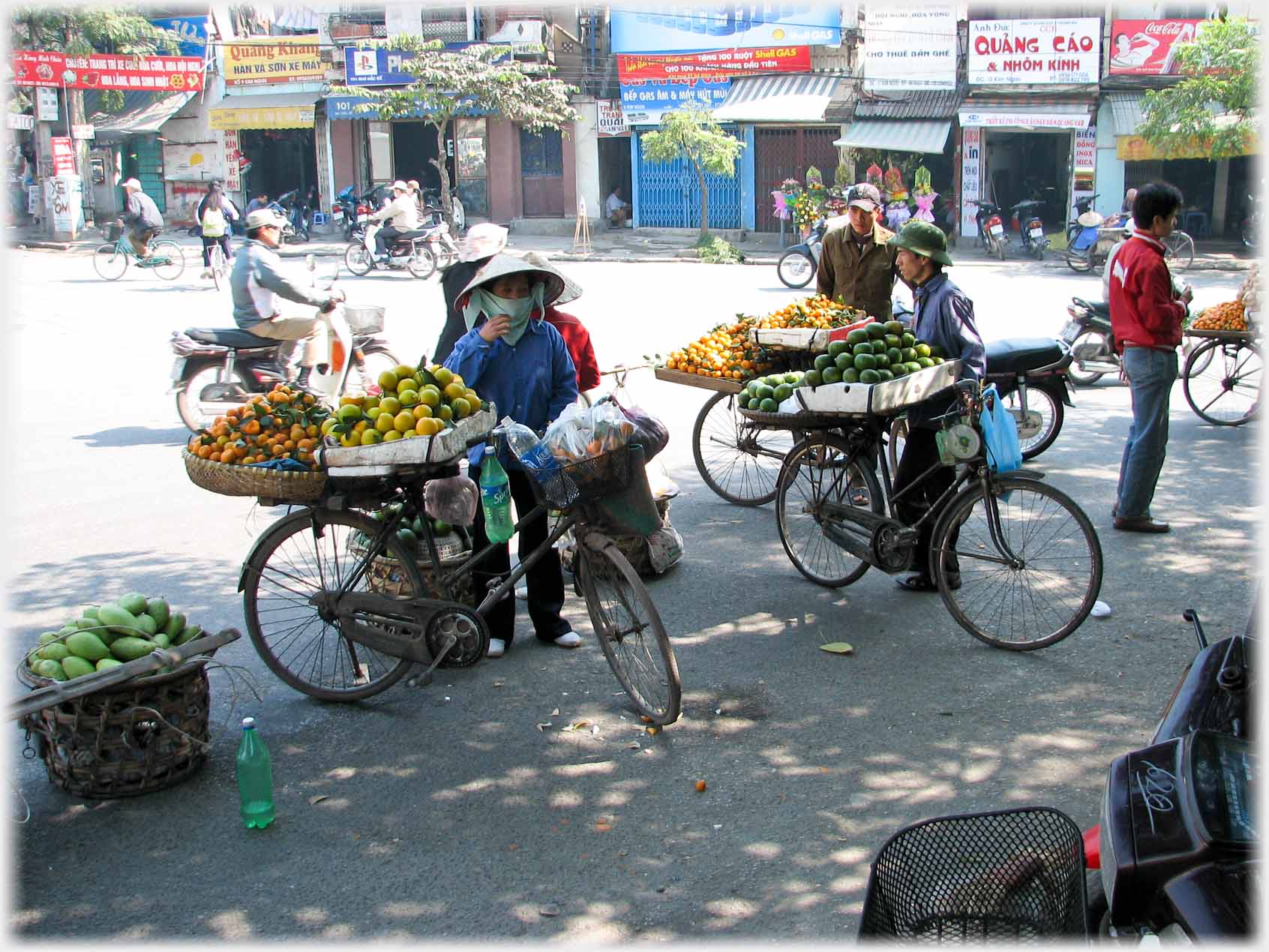 Number of cycle vendors gathered in shady open space.