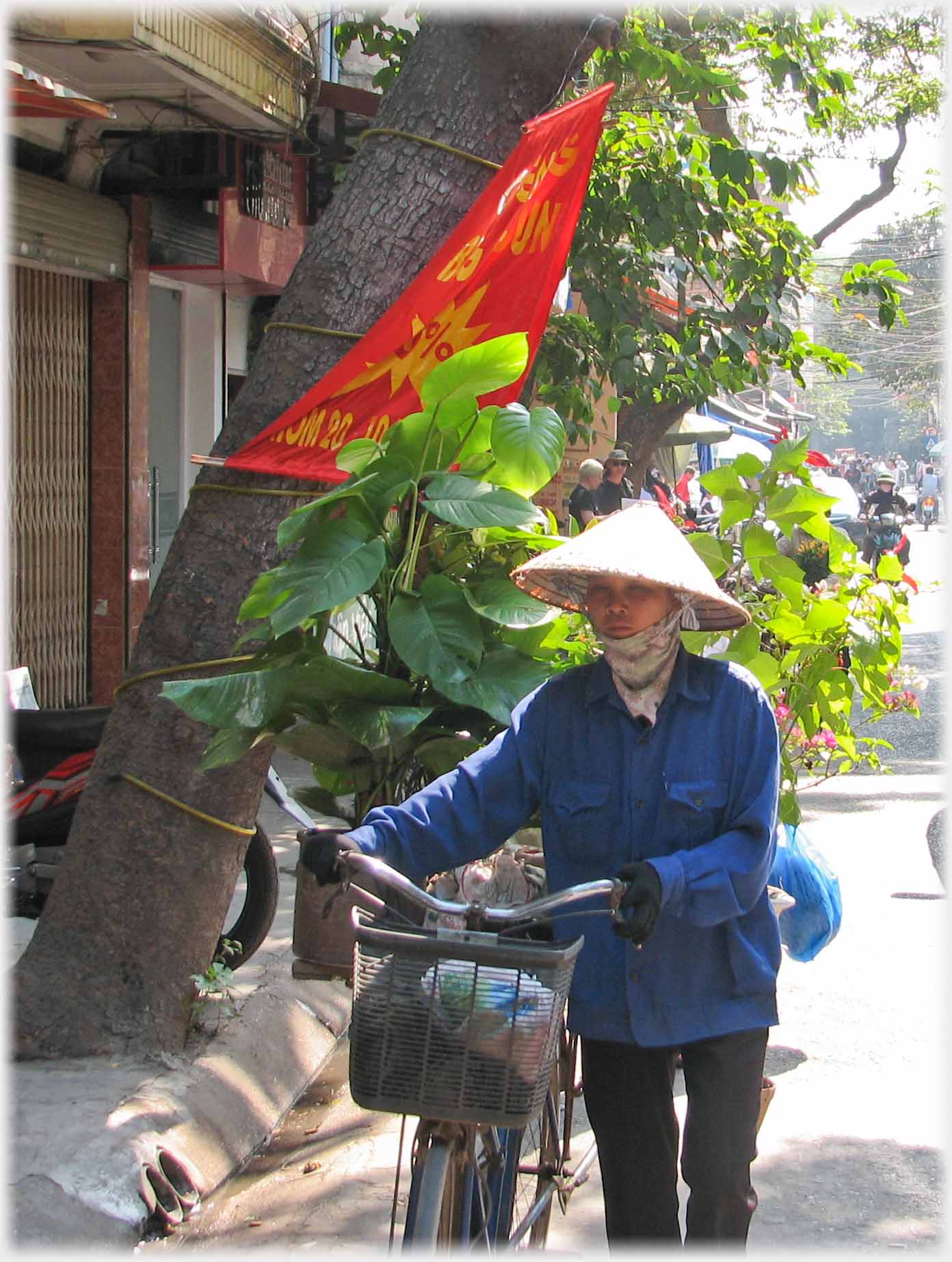 Woman with potted plants on her bicycle.