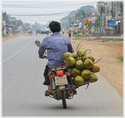 Rider with coconuts, all on one side, leaning the other way.
