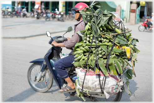 Hands of bananas piled high behind driver.
