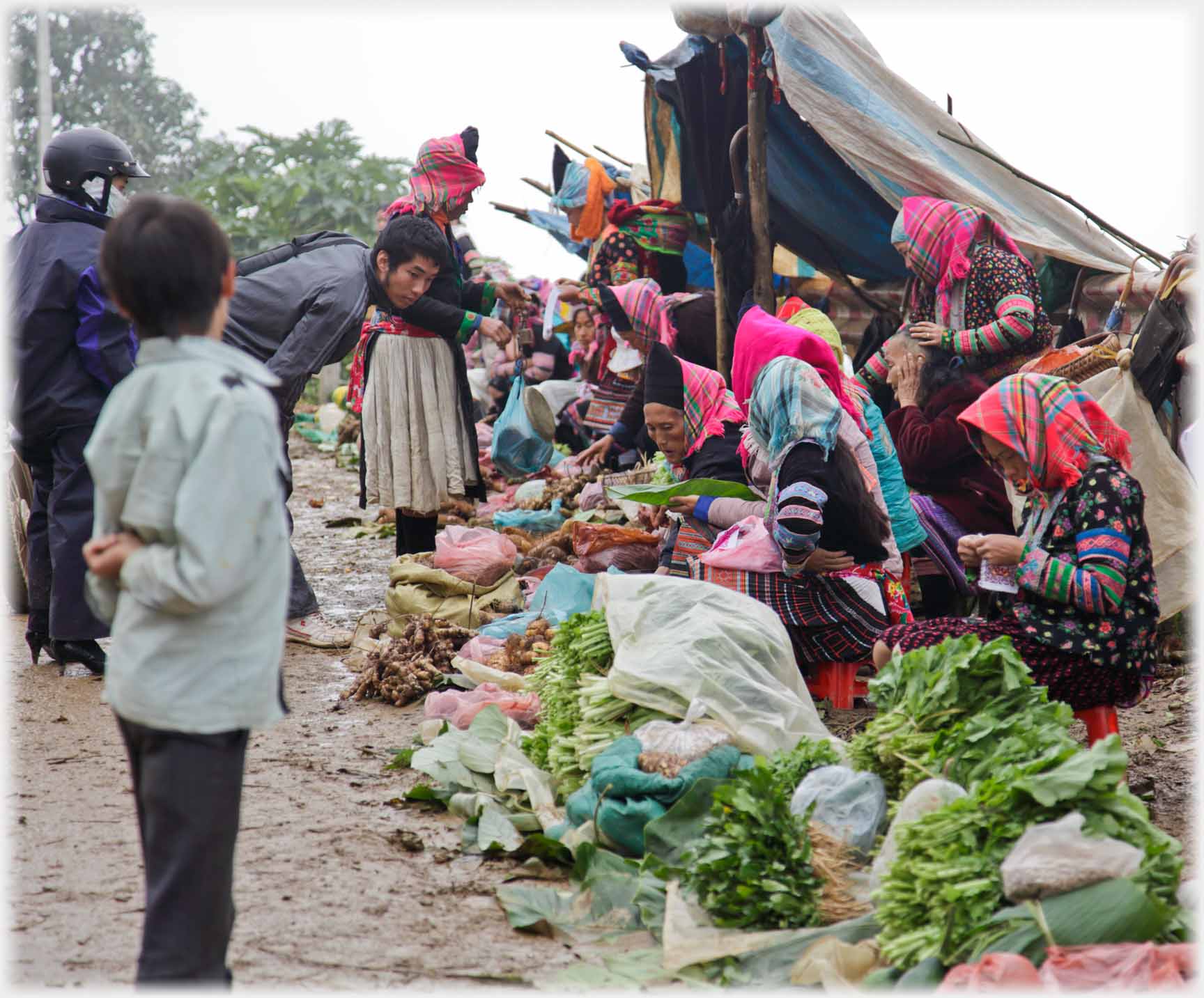 Women produce spread out customers inspecting, boy watching.