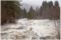 A river raging in spate.