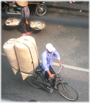 Man wheeling bike with two large bales strapped to it.