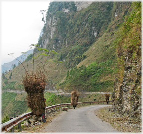 Two bundles walking away, one resting with man visible.