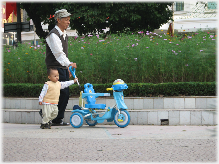 Man and infant together pushing an infant's tricycle.