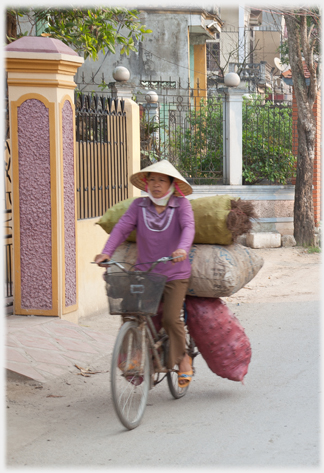 Woman in violet top cycling past violet coloured gate with three large sacks on the back of her bike.