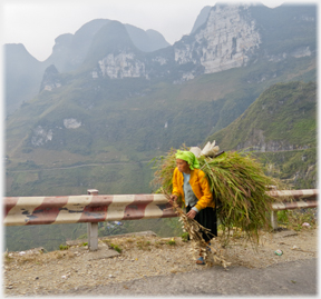 Woman walking up road with large bundle of grasses on her back.