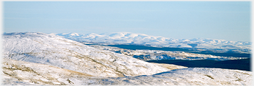 Cheviot from Dumfreisshire.