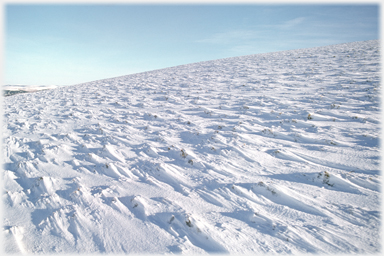 Snow sand dunes.