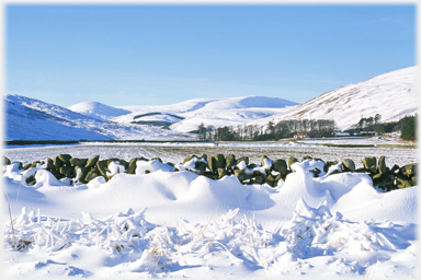 Cappercleuch and Broad law.