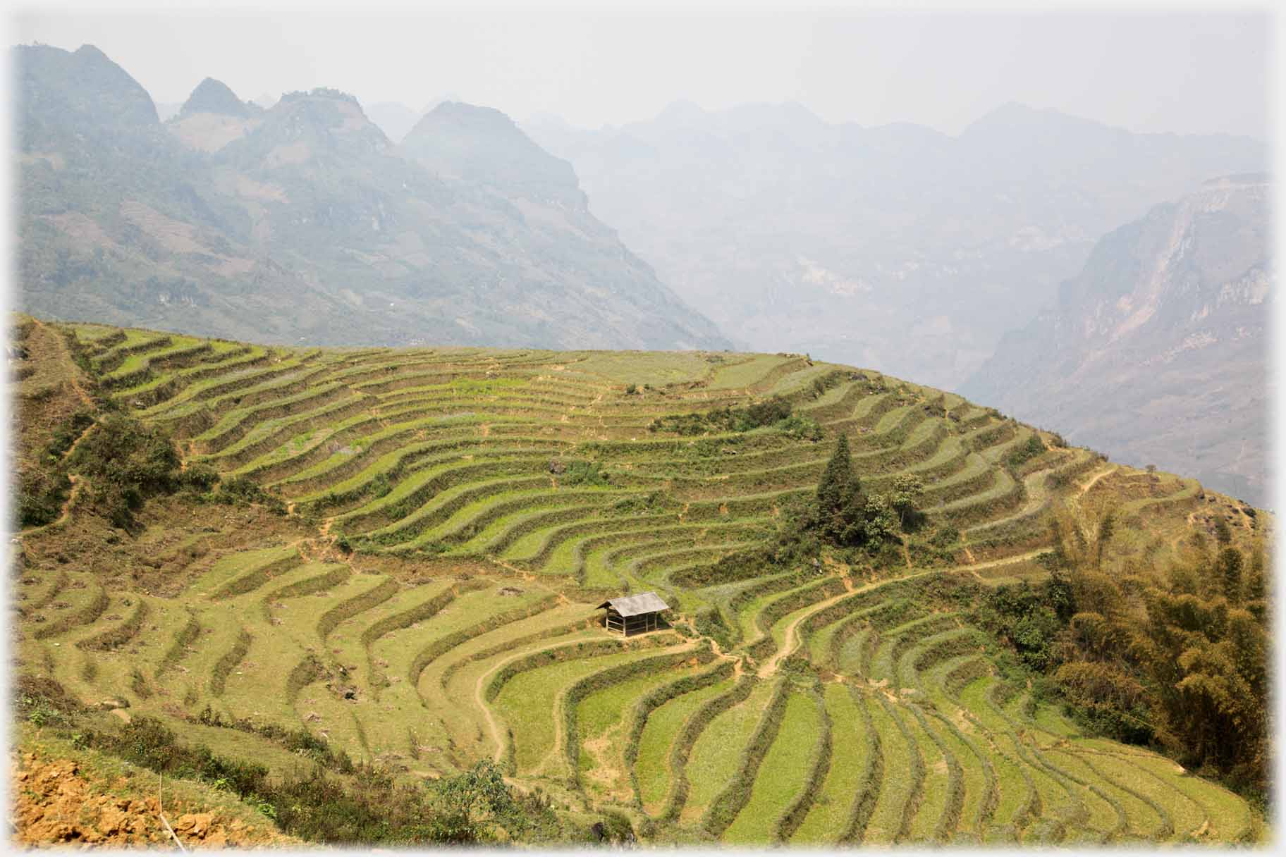 Terraced rounded hill with hut at centre.