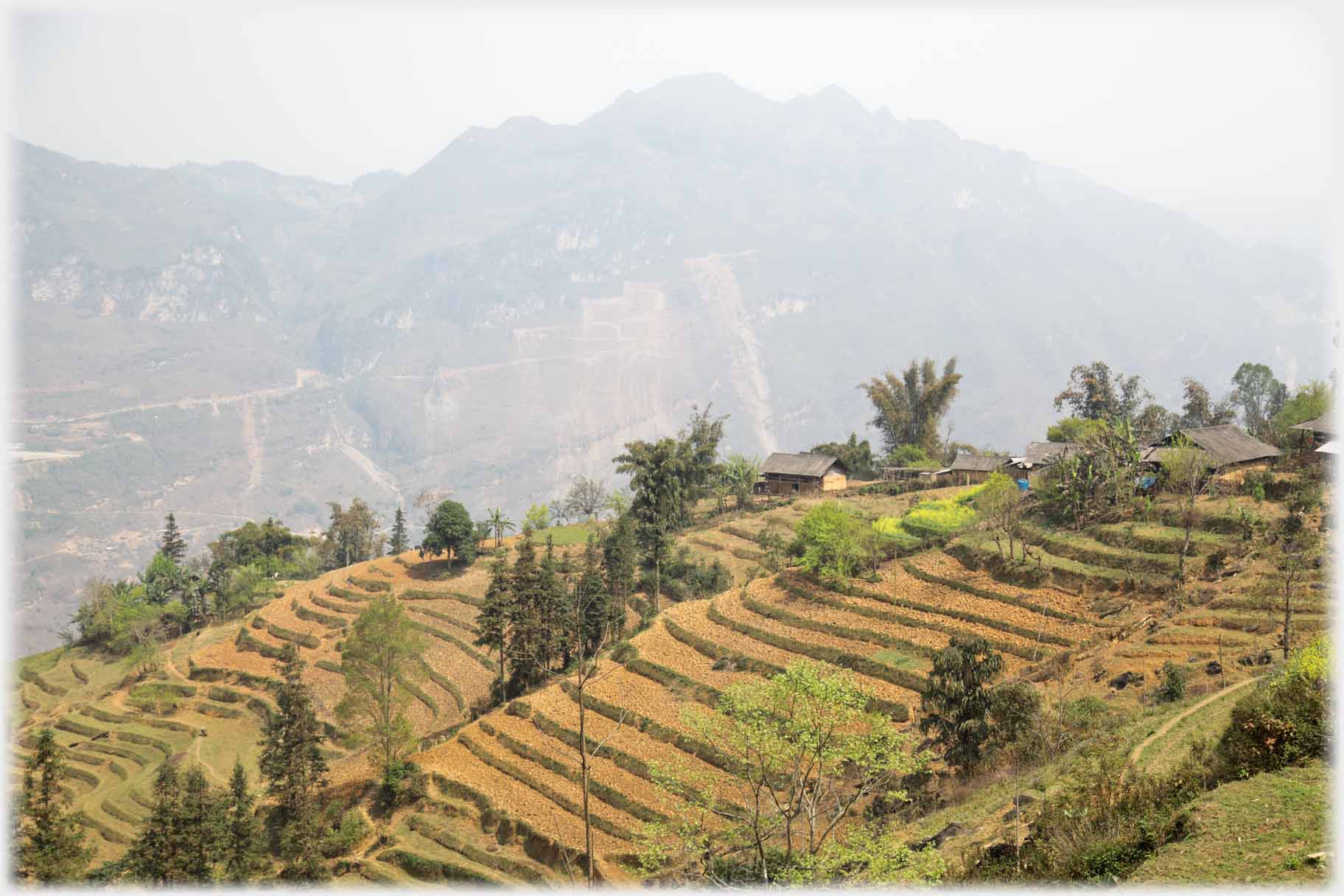 Terracing with houses along top ridge.