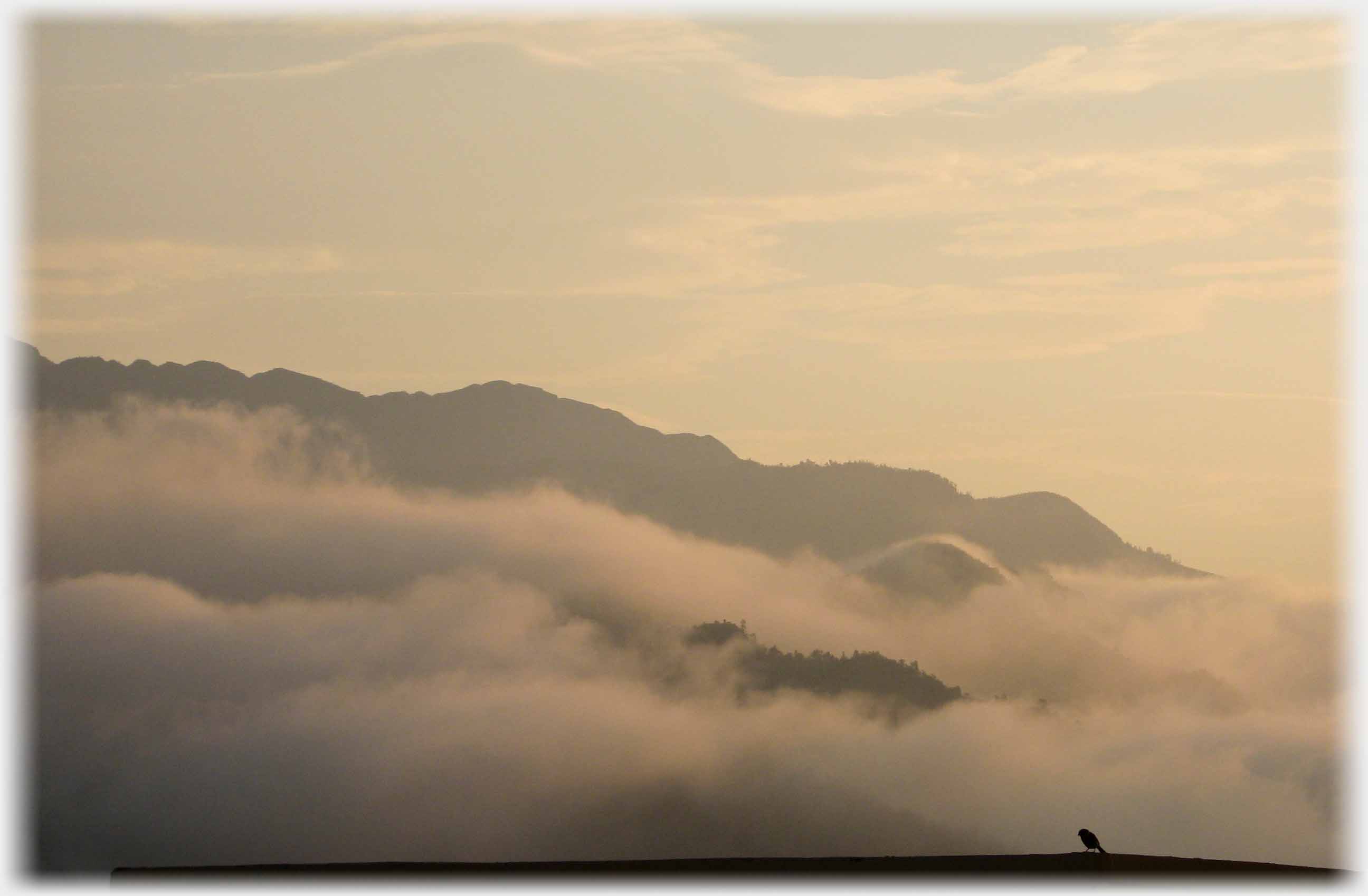 Clouds layered between hilltops, a black bird on a roof.