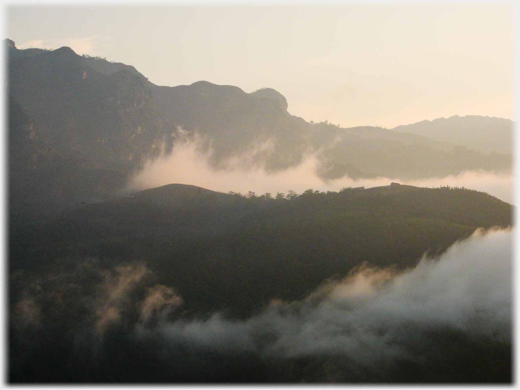 Mist between hills, some trees stand out.