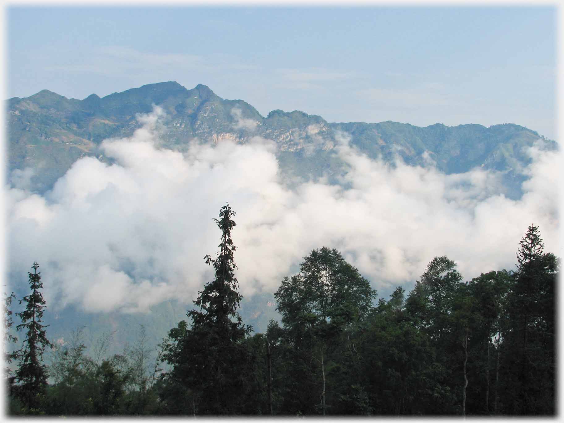 Mist along hillside, trees infront.