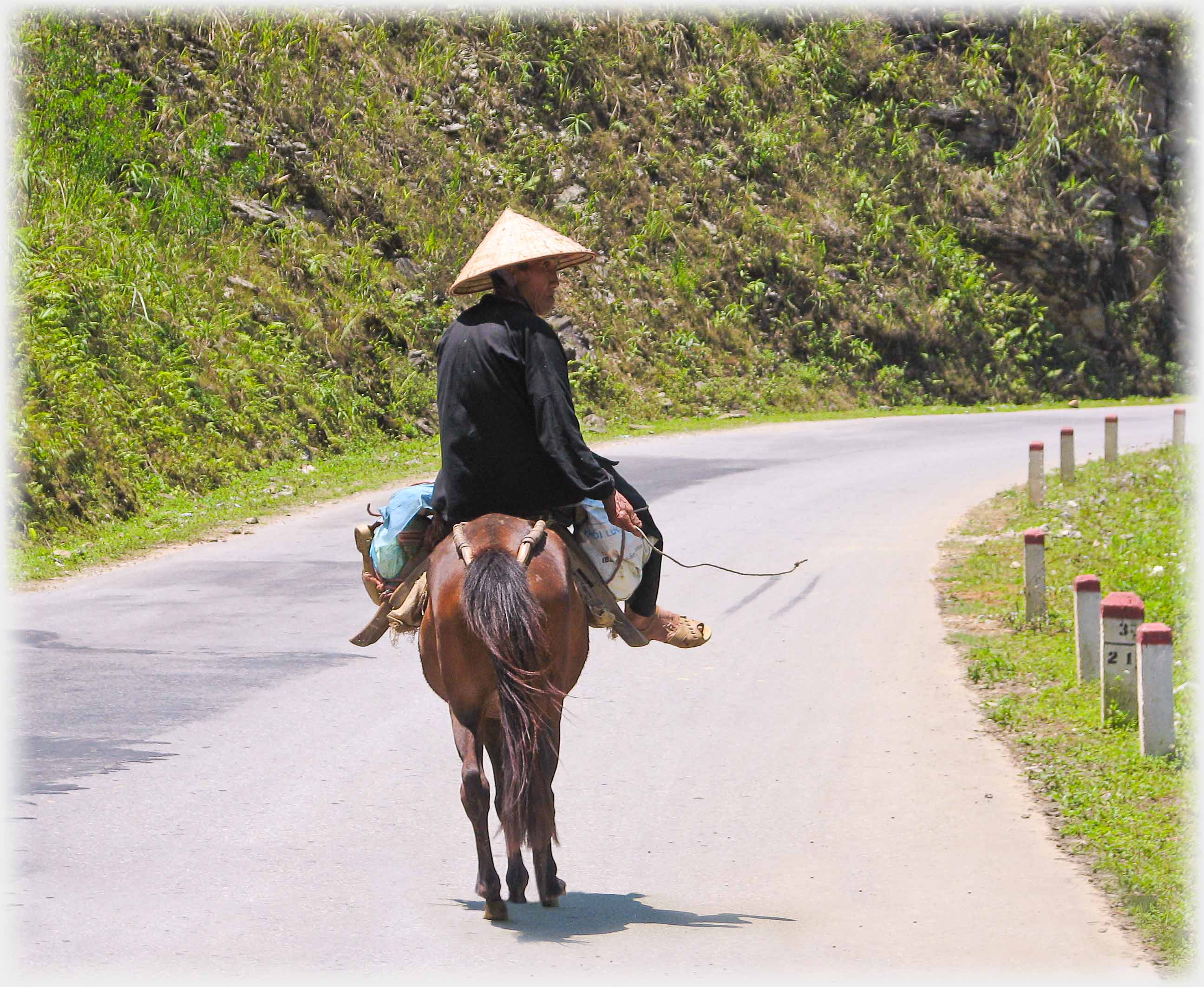 Man on horse turning to look back.