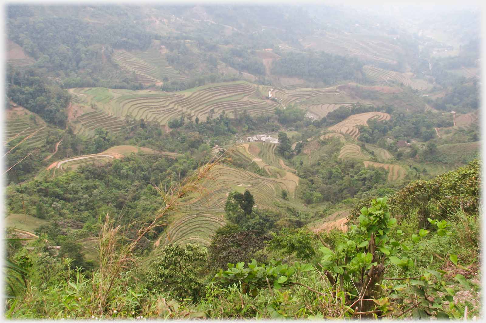 Down and along valley with trees and terraces.