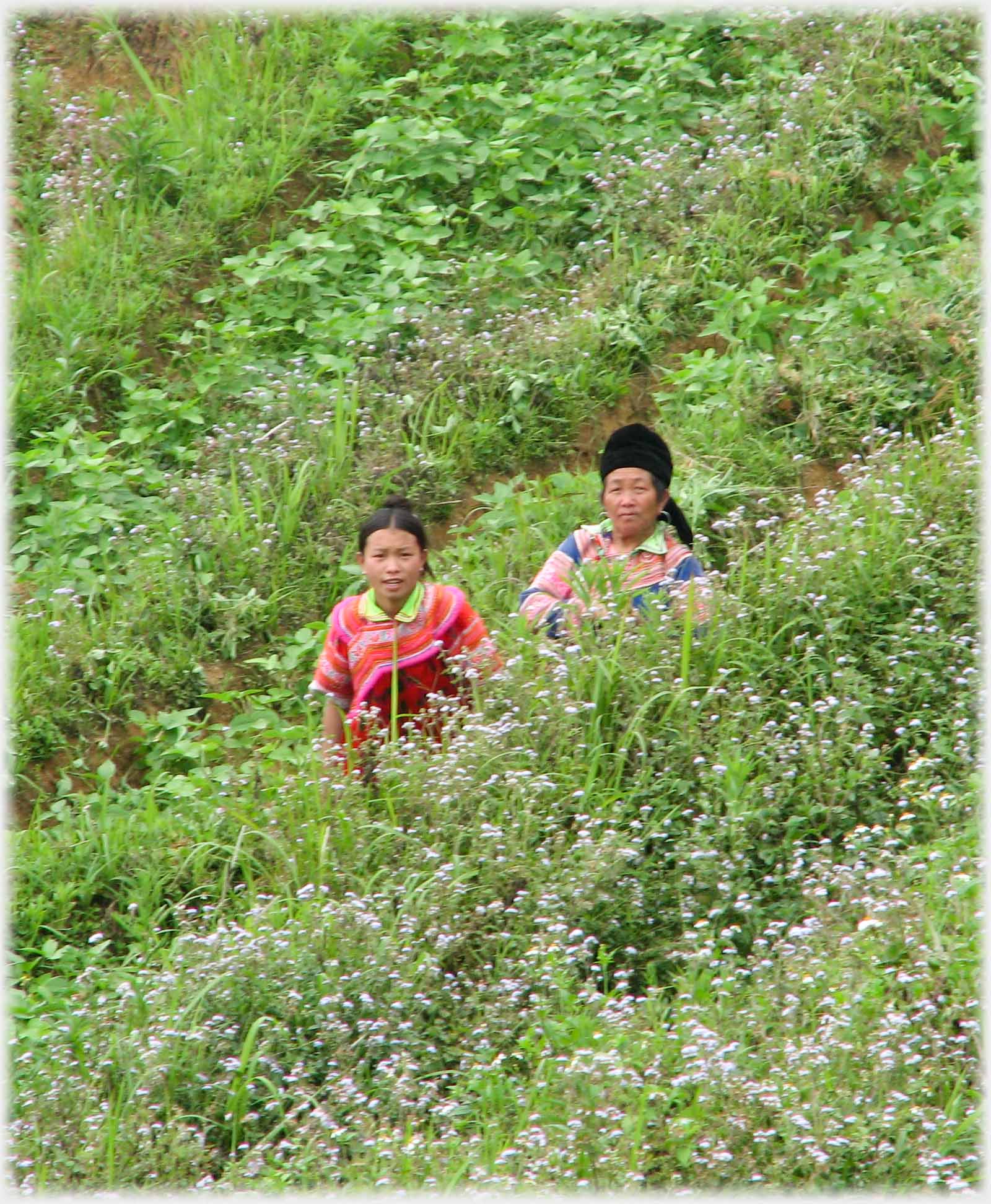 Two women amongst plants.
