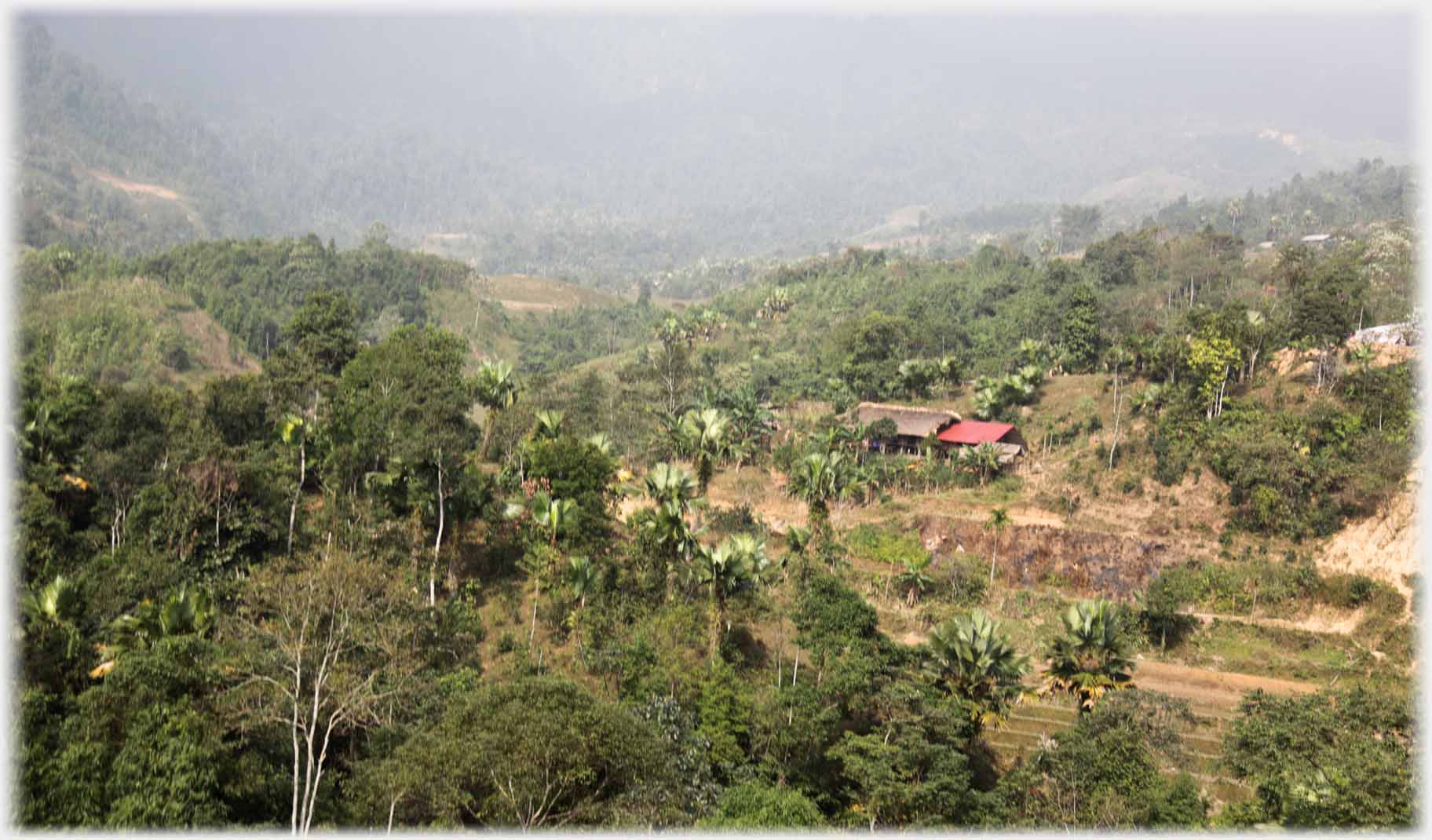 Across trees to house on gentle hillside.