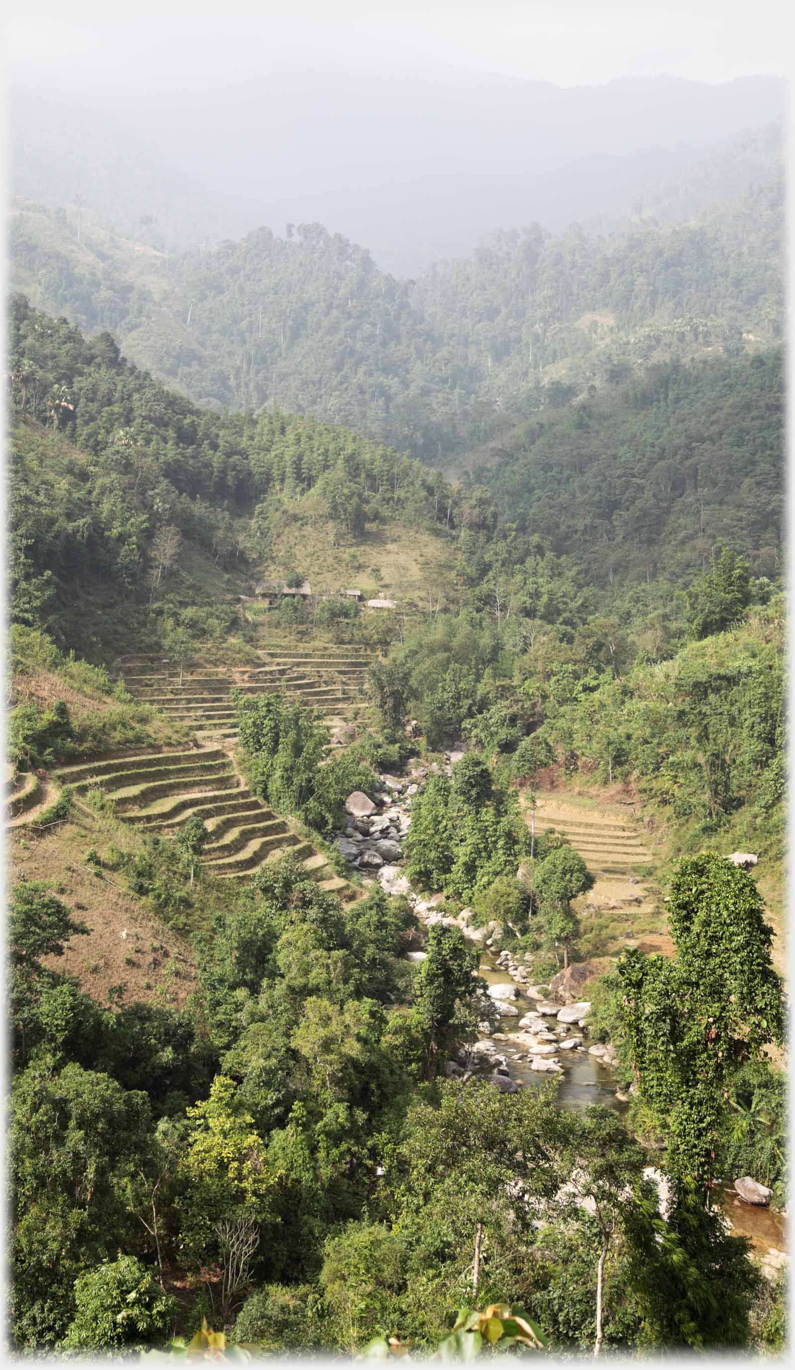 Looking down into treed terraced valley.
