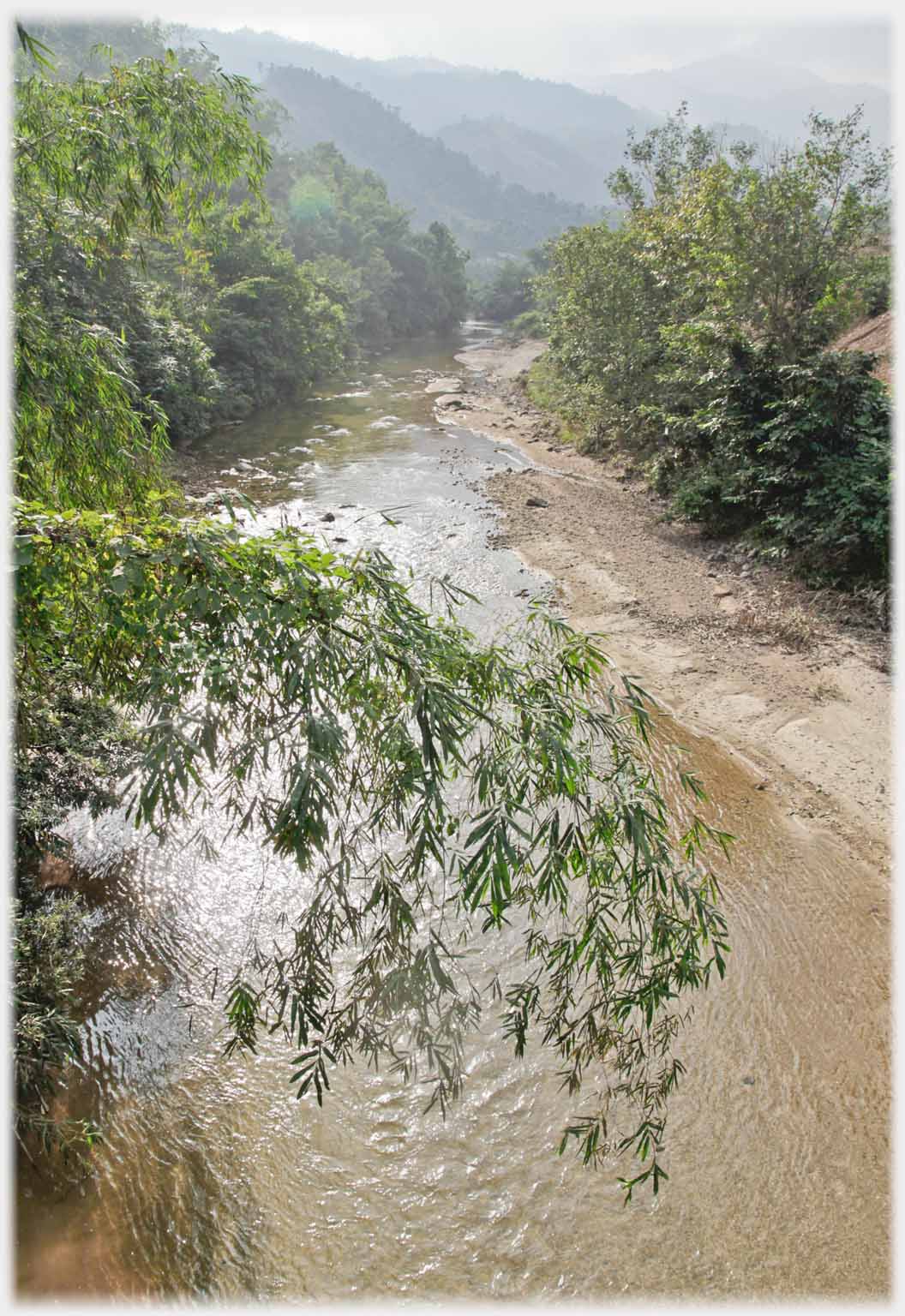 Branch of bamboo hanging over river with hills in distance.