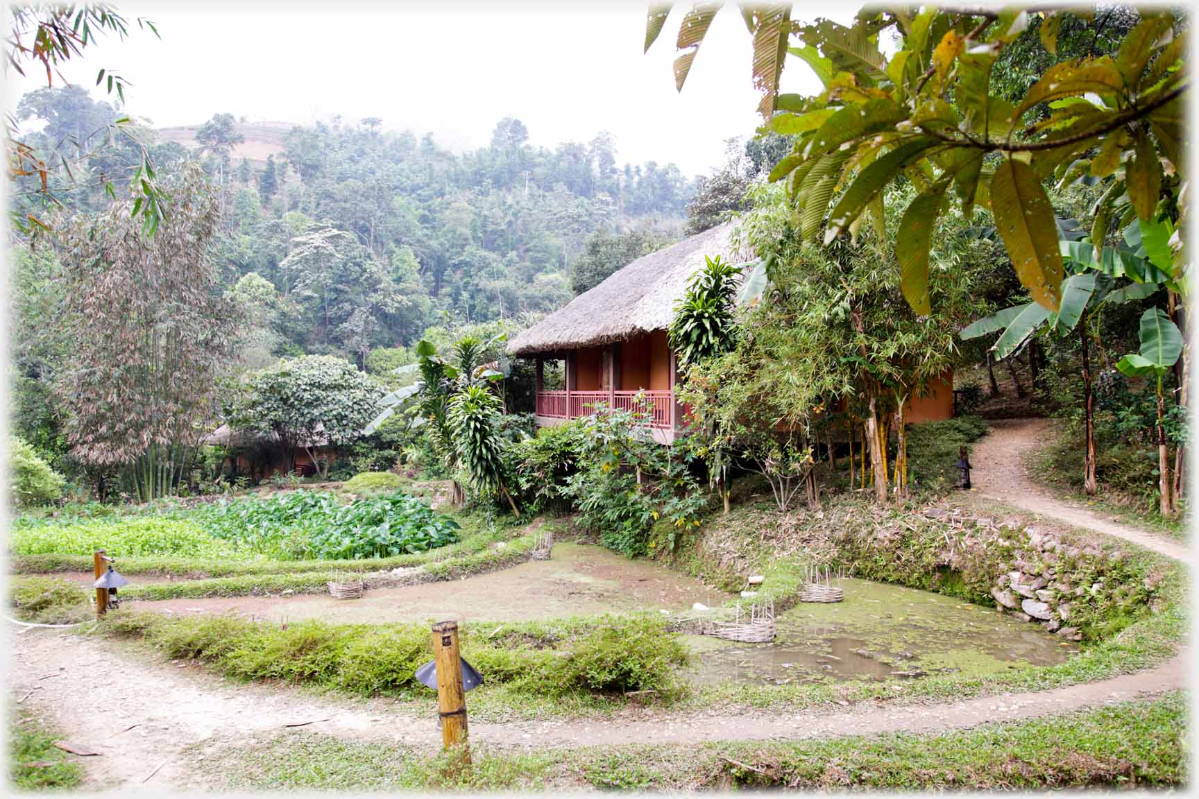 Thatched house with curved path running to it.