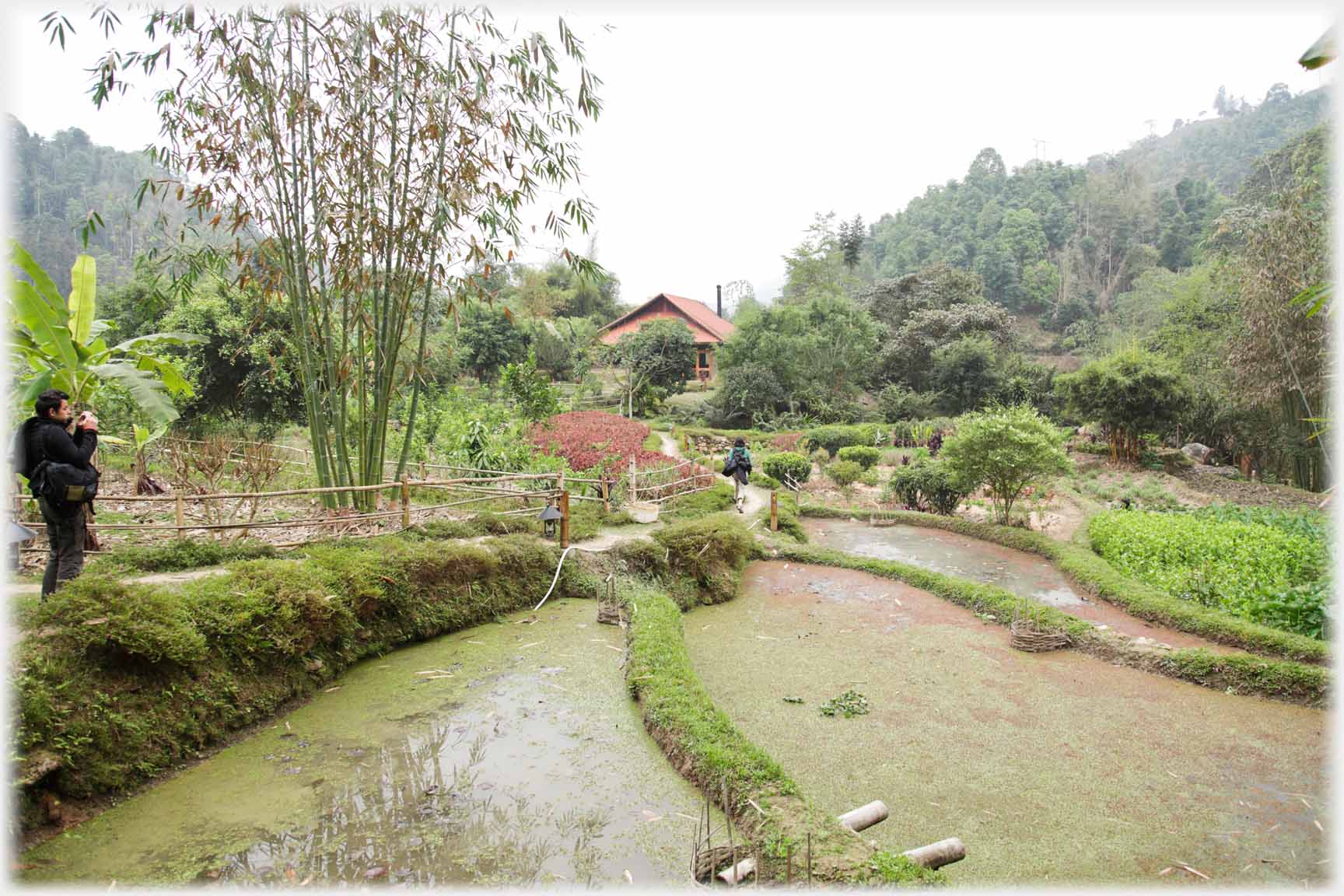 Ponds with grass separations photographer.
