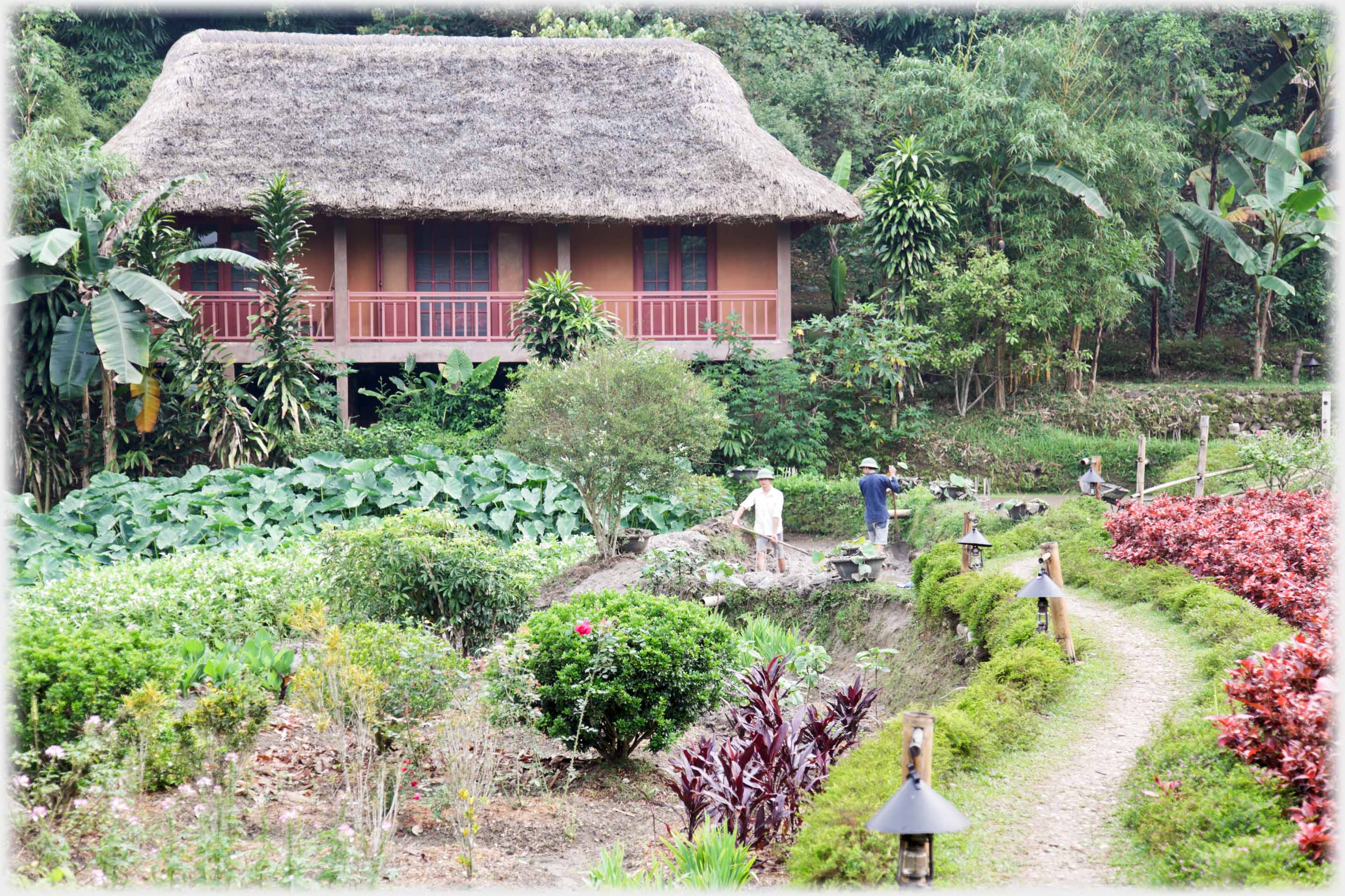 Thatched house with verander, gardens in front with two gardeners.