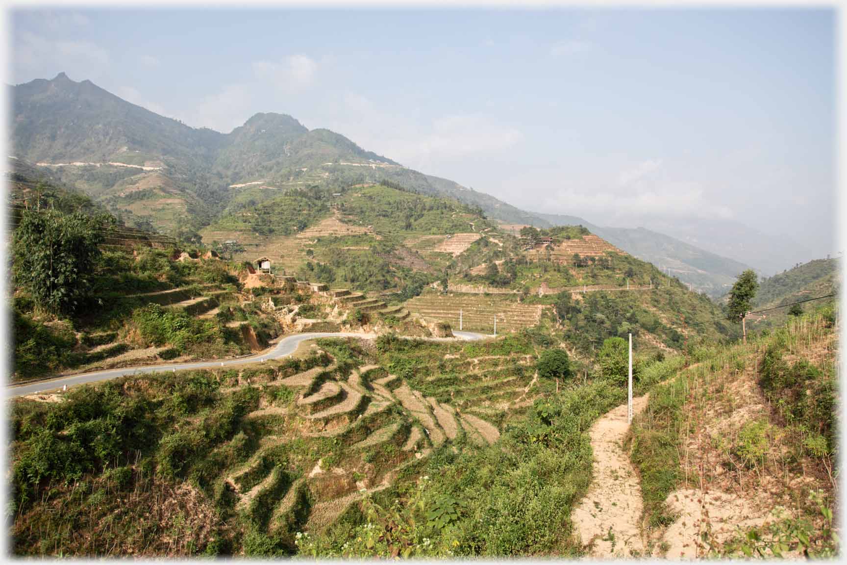 Terraced hillside with road winding through it.