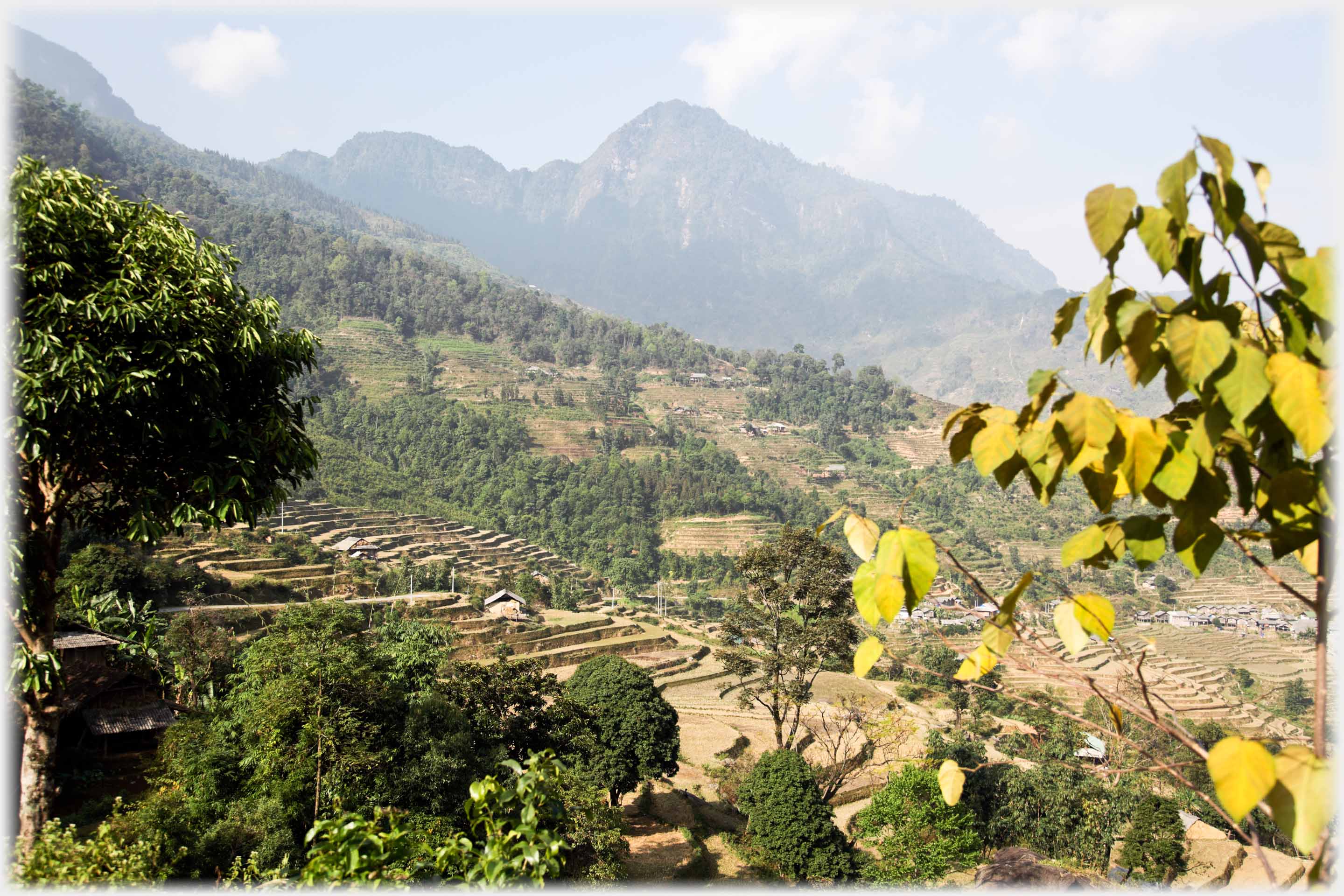 Sweep of terraced hillside with mountain background.